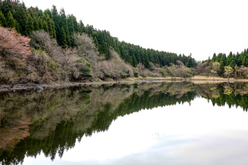 立石池　鏡池