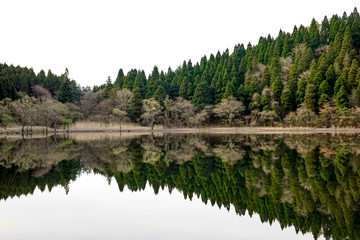 立石池　鏡池