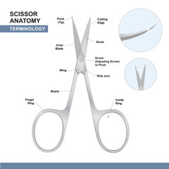 Parts of Nail Cutting Shears. Terminology of Scissors. Manicure and Pedicure Care Tools. Vector Illustration