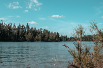 Landscape Park in Miami 