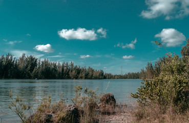 Landscape Park in Miami 