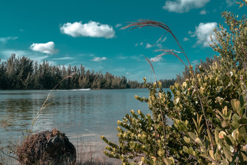 Landscape Park in Miami 