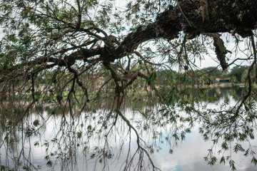 Landscape Park in Miami 