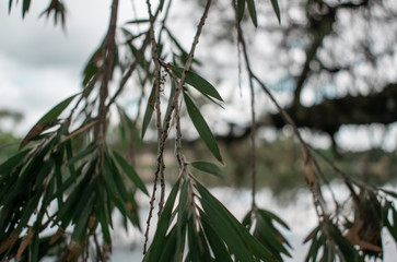 Landscape Park in Miami 