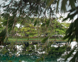 Landscape Park in Miami 