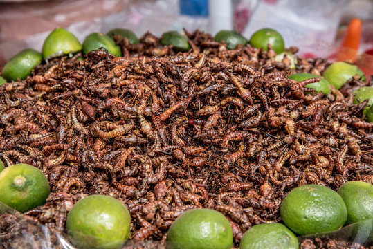 chapulines dorados, comida exotica con limon