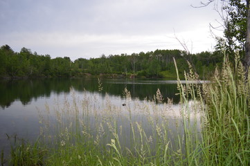 wheatonshoreoflake