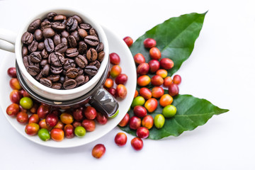 Roasted coffee beans and red ripe coffee beans