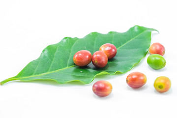 Red ripe coffee beans with green leaf