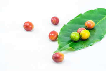 Red ripe coffee beans with green leaf