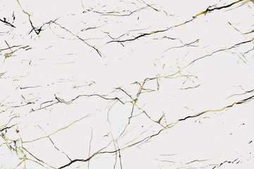Marble slab texture
