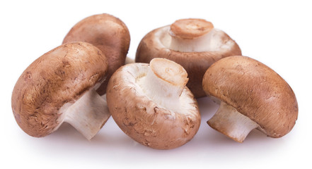 Fresh mushrooms on white background