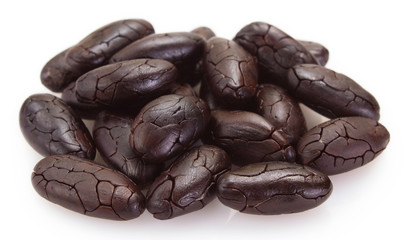 Cocoa bean on white background