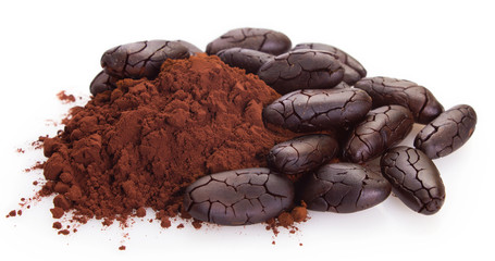 Cocoa bean with powder on white background