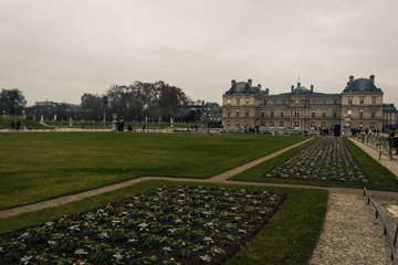 Fototapeta na wymiar Luxemburg Palace between trees