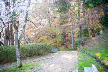 山