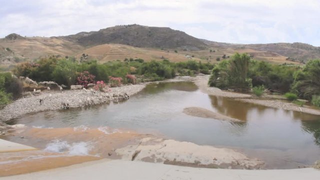 A flock of sheep approaches a shallow river to drink water. Mediterranean landscape.