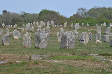 Prehistorics Menhirs du Menec, Carnac, Bretagne, France