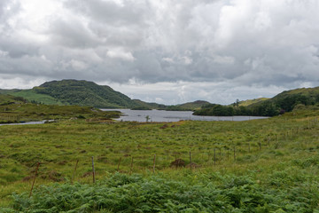 Schottland - Inverpolly-Naturreservat - Glen Canisp