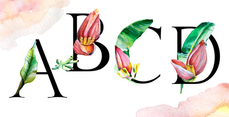 Alphabet with flowers. Hand drawing illustration with green leaves, red flowers of bananas tree. Capital Letters.