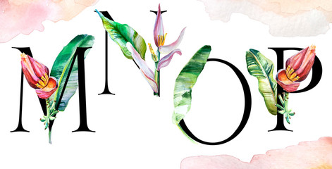 Alphabet with flowers. Hand drawing illustration with green leaves, red flowers of bananas tree. Capital Letters.