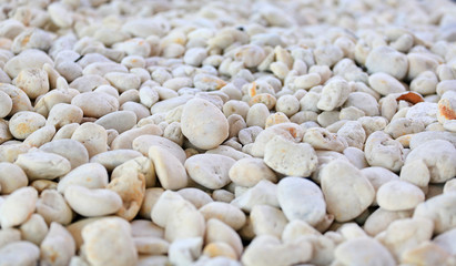 White gravel pebble background in garden.