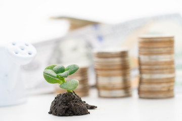 Trading financial and investment concept of growing.