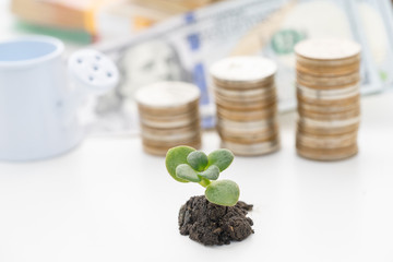 Trading financial and investment concept of growing.