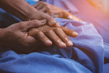 Old daughter's hand touches and holds an old woman's wrinkled hands.