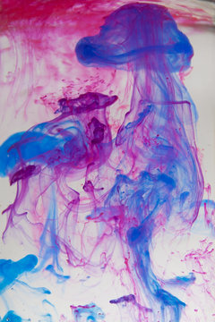 краска медуза в воде
