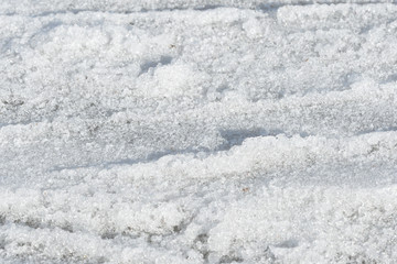 Obraz premium Early spring snow texture close up. Abstract natural background