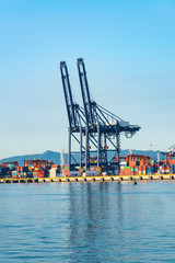 Fototapeta na wymiar Industrial port container crane