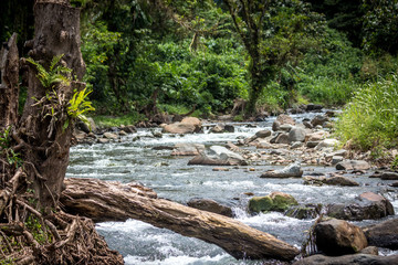Naklejka na ściany i meble A peaceful river in Papua New Guinea, popular for gold mining, on the island of Bougainville, Papue New Guinea