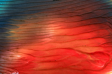 Hand drawn gouache painting. Abstract art background. Color texture