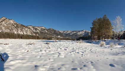 Winter snow-covered and frosty Altai. Altai blue eyes