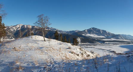 Winter snow-covered and frosty Altai. Altai blue eyes