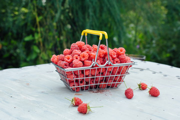 Mini shopping basket full of fresh red ripe raspberry on vintage background