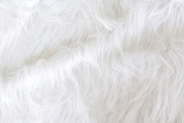 Close up white fur texture or carpet for background