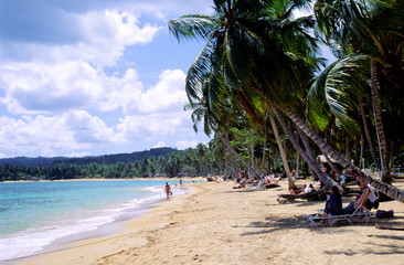 strand punta cana,dom.rep.