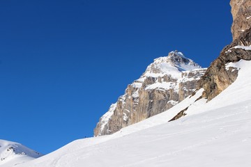 Granta Parei