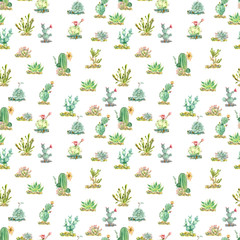 succulents in watercolor