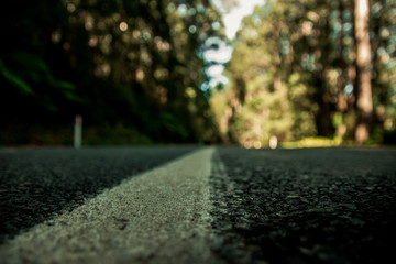 Cathedral Range Conservation