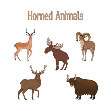 Vector illustration, set of cartoon cute horned animals. Impala, urial, deer, yak elk