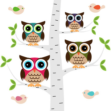 Owl family on a tree with birds