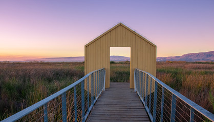 Fototapeta premium Door in Wild Field