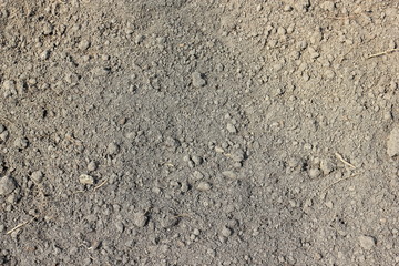 Background of dry gray soil