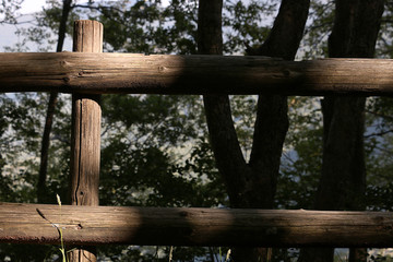 Wooden fence inside a wood. Parapet consisting of wooden poles in the Tuscan mountains.