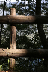 Fototapeta premium Wooden fence inside a wood. Parapet consisting of wooden poles in the Tuscan mountains.