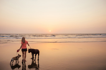 Happy woman with French Bulldog and Cone Corso walking and playing on india goa beach at sunset