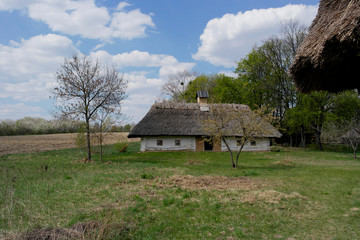 Fototapeta na wymiar Old ukrainian house.Ukrainian hut of the nineteenth century. Spring landscape, blooming trees.Pirogovo village.